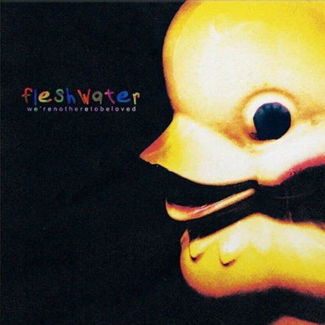 Fleshwater - We’re Not Here To Be Loved Vinyl