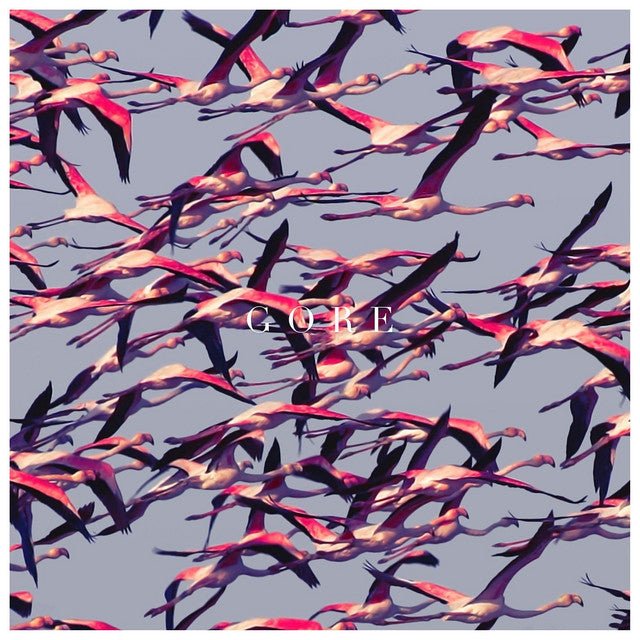 Deftones - Gore CD Vinyl