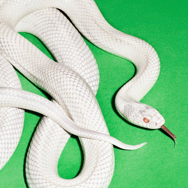 Deftones - Private Music Vinyl Vinyl