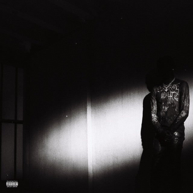 Destroy Lonely - No Stylist Vinyl Vinyl
