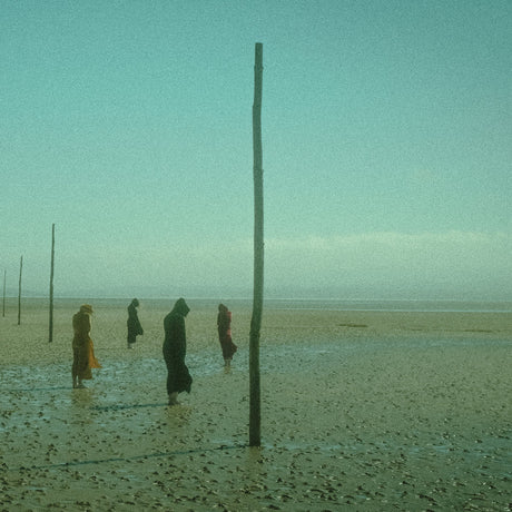 Devil's Witches - In All Her Forms Vinyl