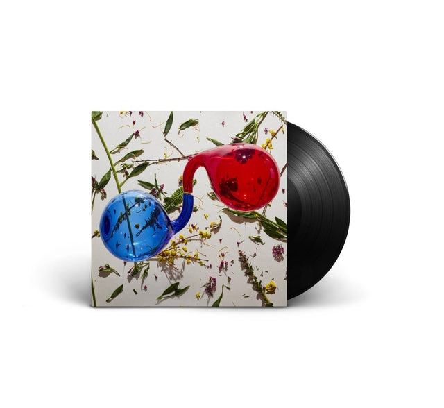 Dirty Projectors - Lamp Lit Prose Vinyl