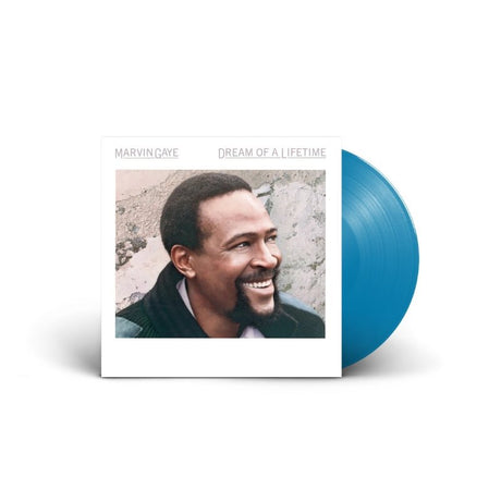 Marvin Gaye - Dream Of A Lifetime Vinyl