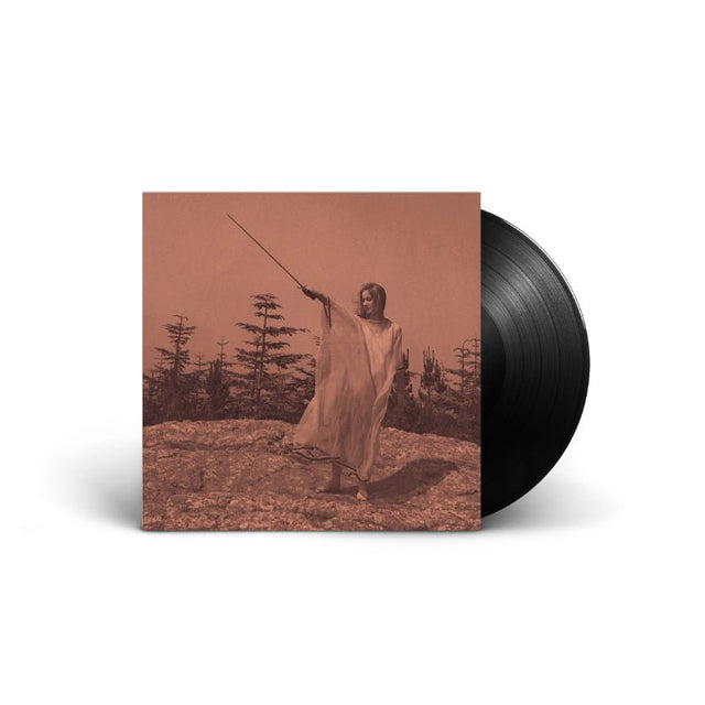 Unknown Mortal Orchestra - II Vinyl