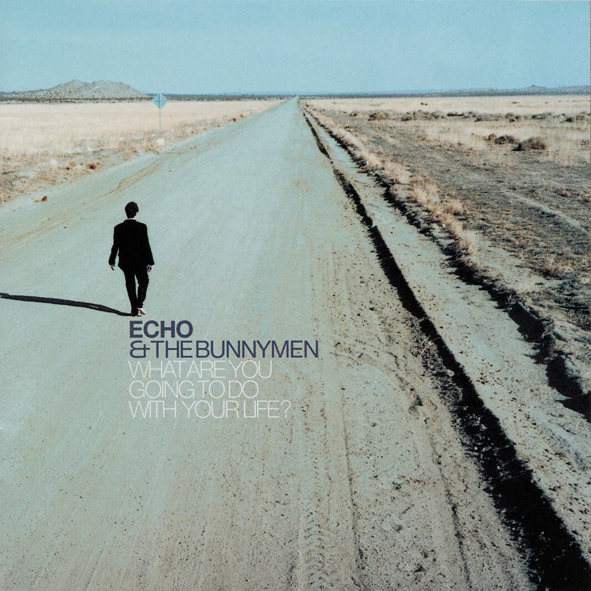 Echo & The Bunnymen - What Are You Going To Do With Your Life? Vinyl Vinyl