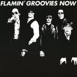 Flamin' Groovies - Now Vinyl