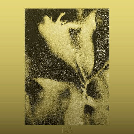 Flying Lotus - 1983 Vinyl Vinyl