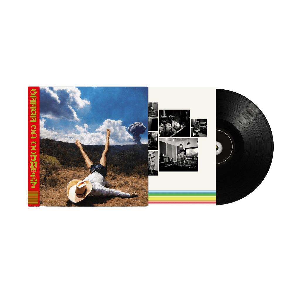 Geese - 3D Country Vinyl Vinyl