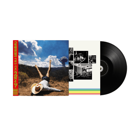 Geese - 3D Country Vinyl Vinyl