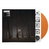Geese - Projector Vinyl Vinyl