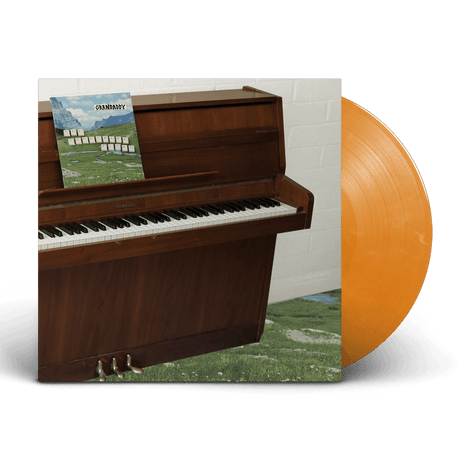 Grandaddy - The Sophtware Slump ..... On A Wooden Piano Vinyl Vinyl