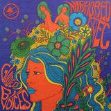 Guided By Voices - Mirrored Aztec Vinyl Vinyl