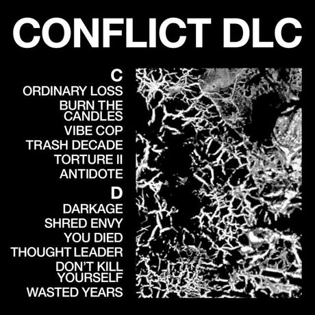 HEALTH - Conflict DLC Vinyl Vinyl