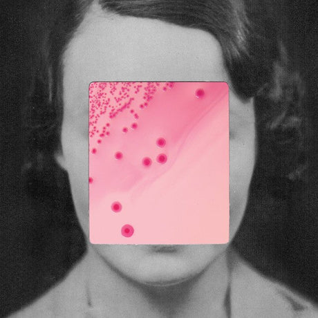 Heligoland - This Quiet Fire Vinyl