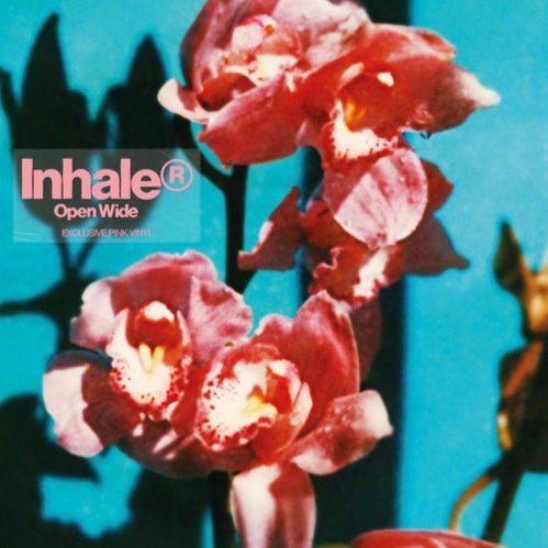 Inhaler - Open Wide Vinyl Vinyl