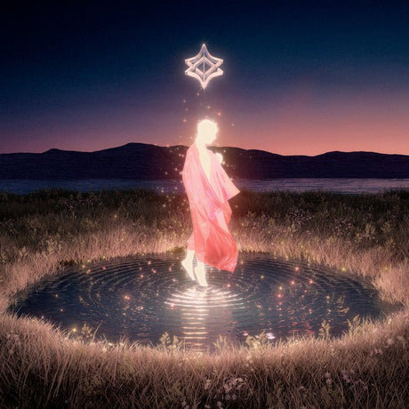 Invent Animate - Heavener Vinyl Vinyl