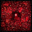 Iron And Wine - Hen's Teeth Vinyl Vinyl