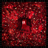 Iron And Wine - Hen's Teeth Vinyl Vinyl
