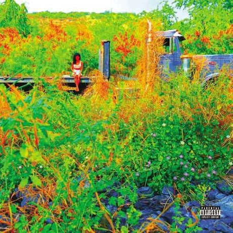 Jhené Aiko - Trip Vinyl Vinyl