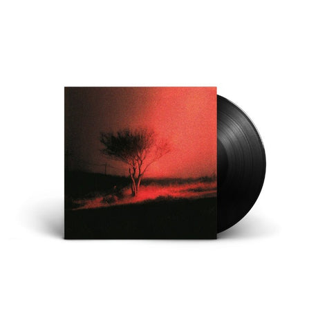 Joji - Piss In The Wind Vinyl Vinyl