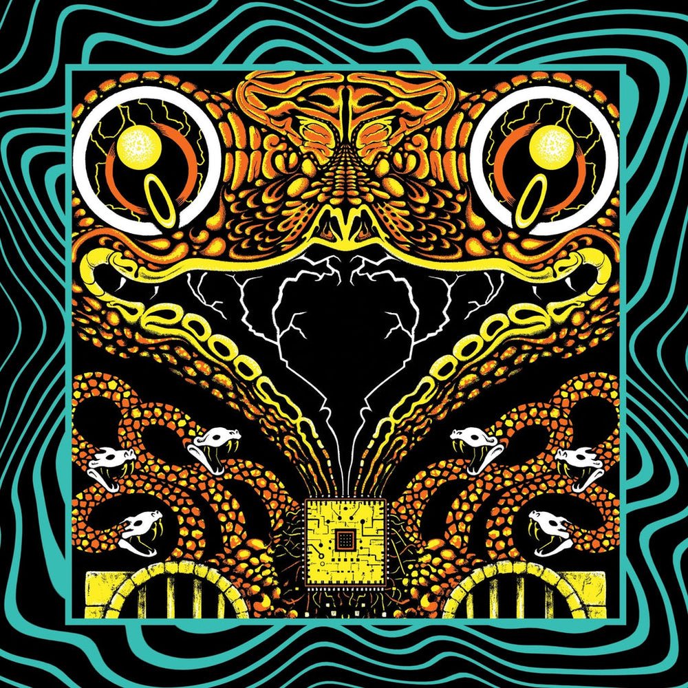 King Gizzard And The Lizard Wizard - Acoustic Gizzard Vol. II - Live in San Diego '24 Vinyl Vinyl