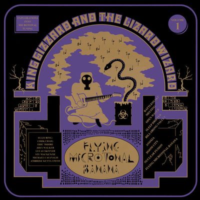 King Gizzard And The Lizard Wizard - Flying Microtonal Banana (Explorations Into Microtonal Tuning Volume 1) Great copy from a real record store. All our used records are washed in a Degritter Sonic Cleaner. One seam split. Near Mint (NM or M - ) Vinyl