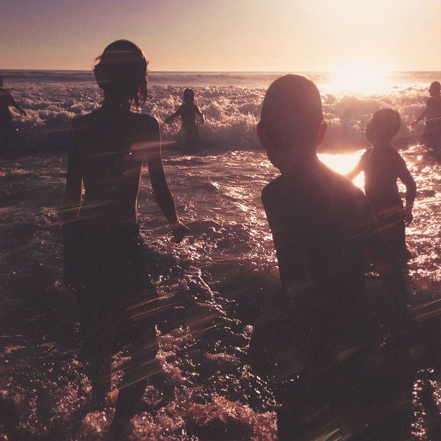 Linkin Park - One More Light Vinyl Vinyl