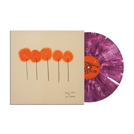 L.S. Dunes - Past Lives Vinyl Vinyl