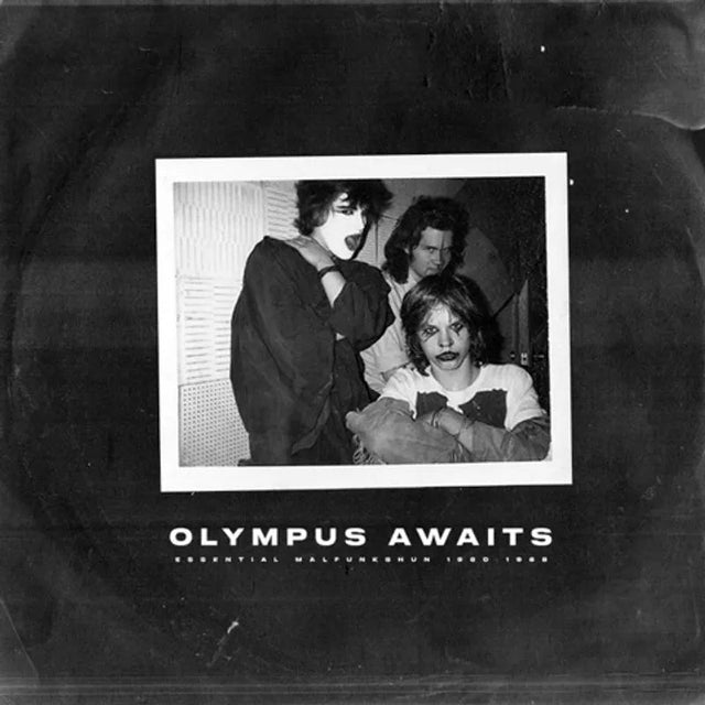 Malfunkshun - Olympus Awaits RSD Exclusive 24 Vinyl