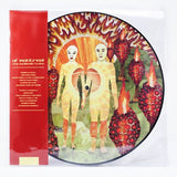 Of Montreal - The Sunlandic Twins Vinyl Vinyl