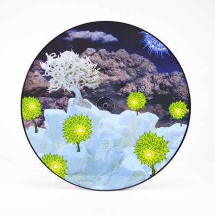 Of Montreal - The Sunlandic Twins Vinyl Vinyl