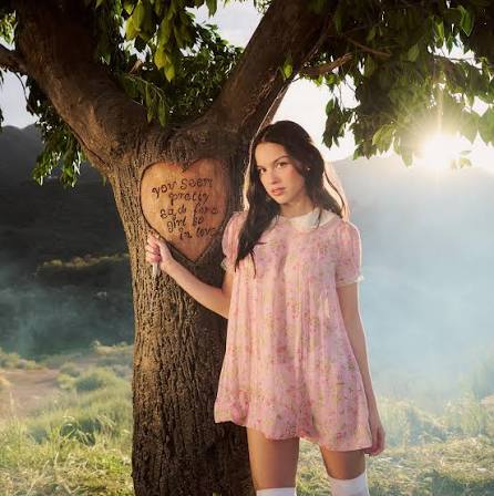Olivia Rodrigo - You Seem Pretty Sad For A Girl So In Love Vinyl Vinyl