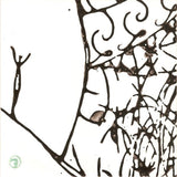 Piano Magic - Amongst The Book An Angel Vinyl Vinyl