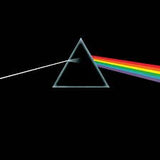 Pink Floyd - The Dark Side Of The Moon Great copy from a real record shop. VG+ Jacket except for ring wear. All our used records are washed with a Degritter sonic cleaner. No stickers but does include poster. Very Good Plus (VG+) Vinyl