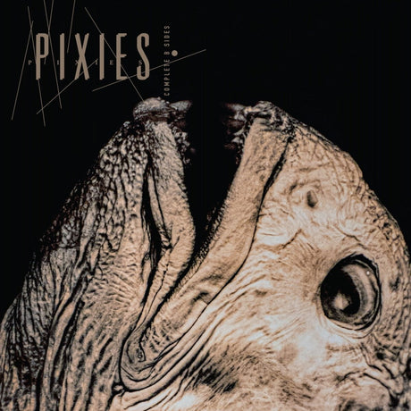 Pixies - Complete B Sides Vinyl Vinyl