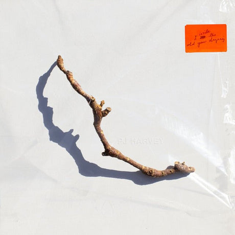 PJ Harvey - I Inside The Old Year Dying Vinyl Vinyl