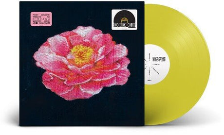 Post Malone - Post Malone Tribute To Nirvana Vinyl Vinyl