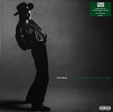 Role Model - Kansas Anymore Vinyl Vinyl