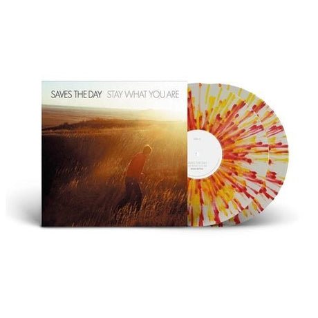 Saves The Day - Stay What You Are 10" Vinyl