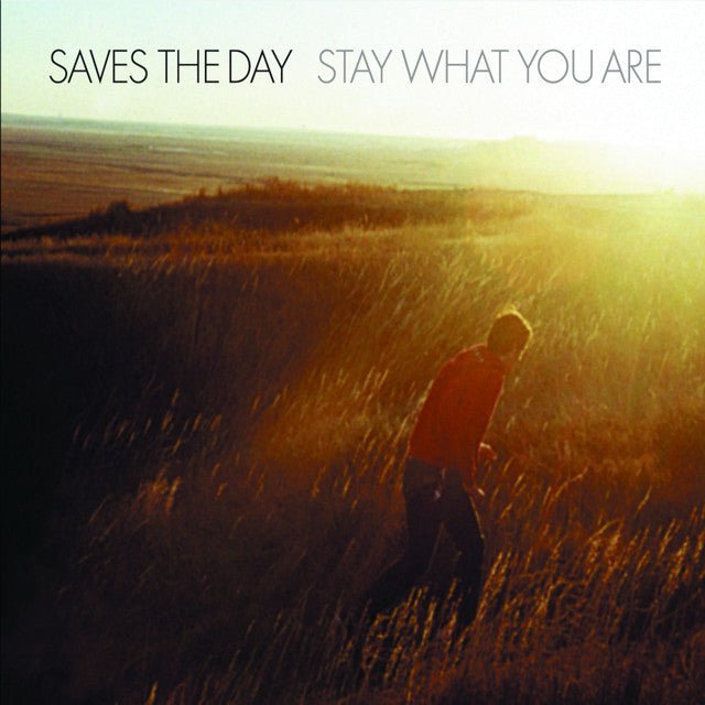 Saves The Day - Stay What You Are 10" Vinyl