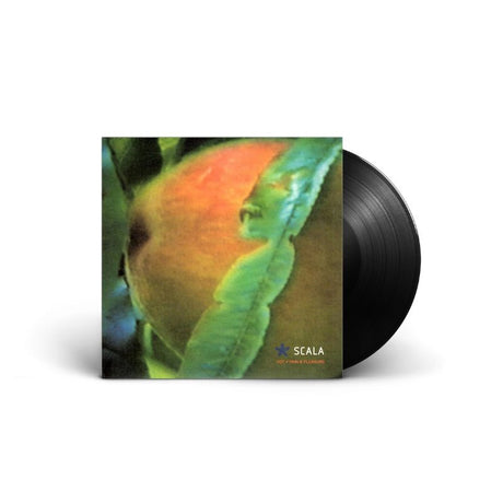 Scala - VDT Vinyl Vinyl