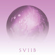 School Of Seven Bells - SVIIB Vinyl Vinyl