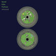 Should - Feed Like Fishes Vinyl Vinyl