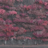 Sleep Token - Even In Arcadia (Import) Vinyl Vinyl