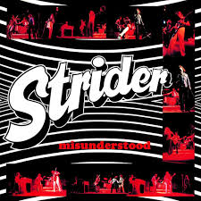 Strider - Misunderstood Vinyl Vinyl