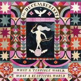 The Decemberists - What A Terrible World, What A Beautiful World Vinyl Vinyl