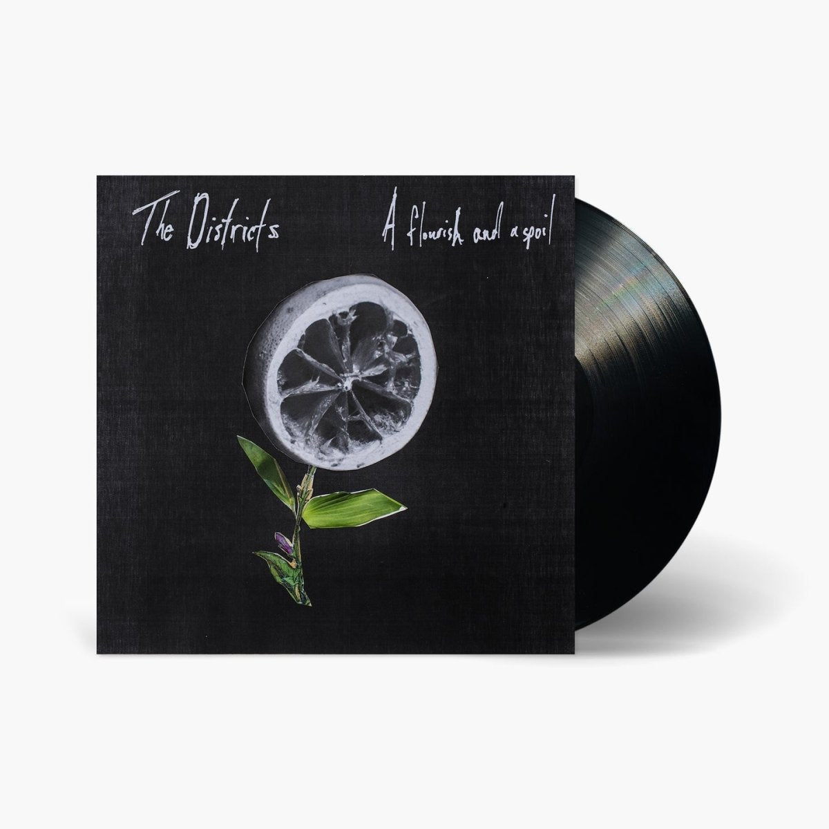 The Districts - A Flourish And A Spoil Vinyl Vinyl