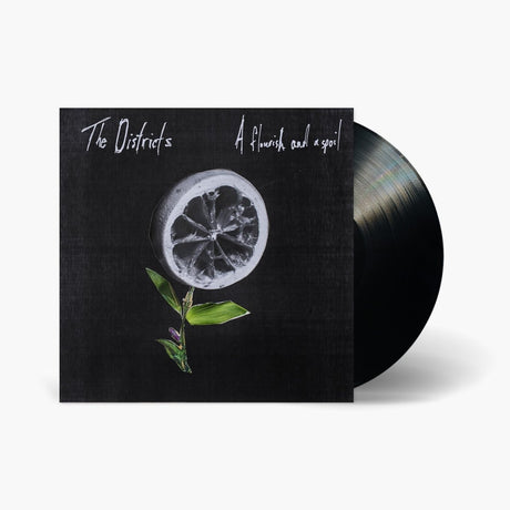 The Districts - A Flourish And A Spoil Vinyl Vinyl