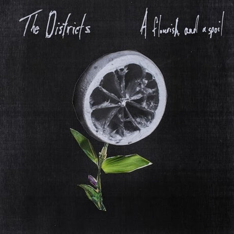 The Districts - A Flourish And A Spoil Vinyl Vinyl