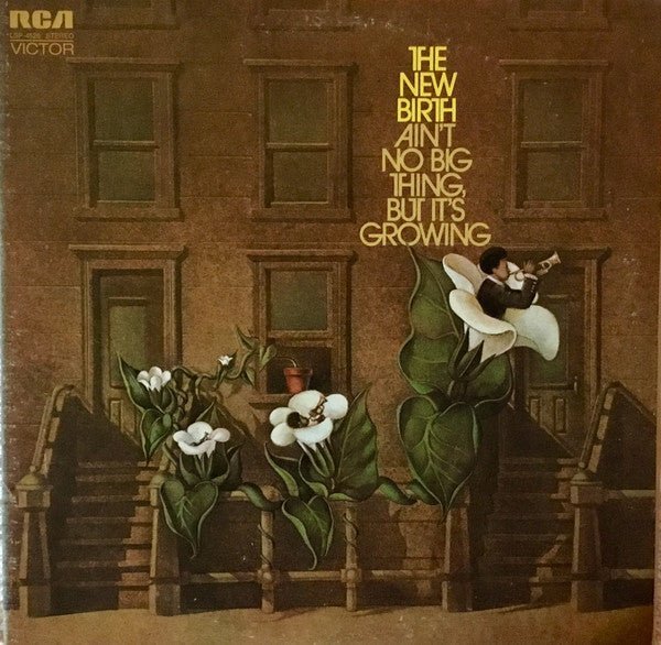 The New Birth - Ain't No Big Thing, But It's Growing Vinyl